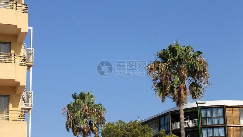 会议酒店的麦克风，你真的选对了吗